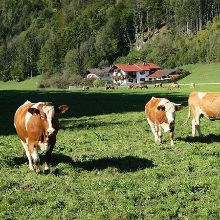 Ferienwohnung Leitner Kiefersfelden Luaran gambar